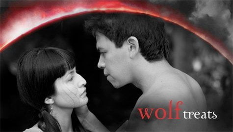 twilight eclipse party favor tags