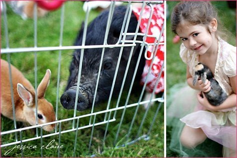 Alice in Wonderland Party Ideas