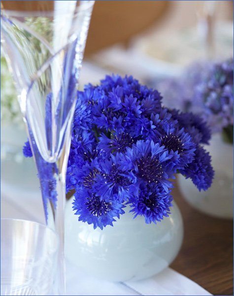 purple and blue dinner party ideas