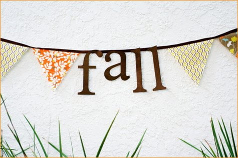 fall & thanksgiving party ideas