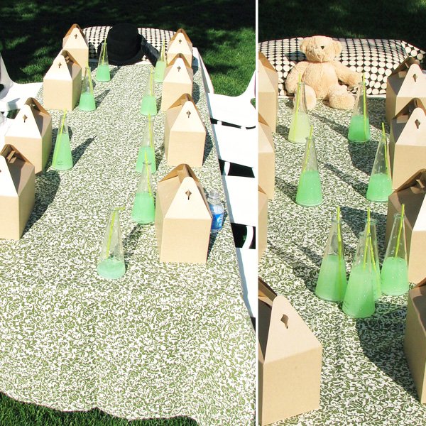 Finding Neverland Birthday Party