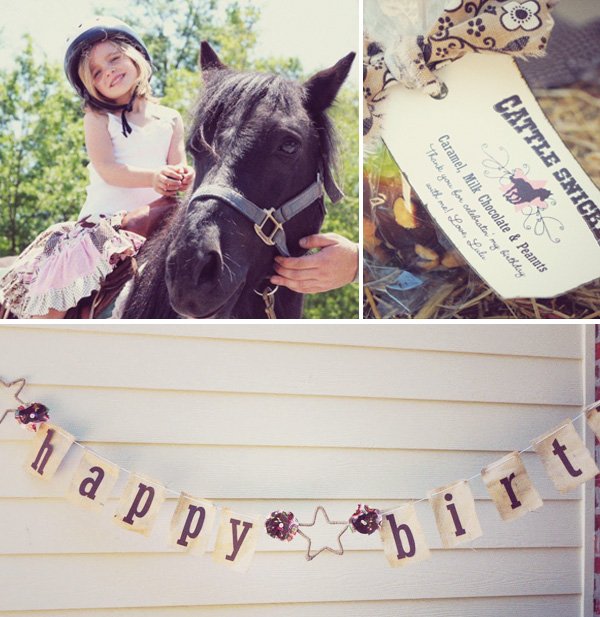 lulu_cowgirl_5 Cowgirl Banner and More