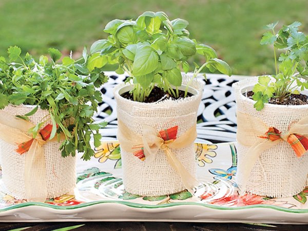 DIY Herb Garden Gifts or Party Favors