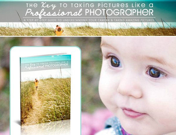 The Key to Taking Pictures by Katie Evans