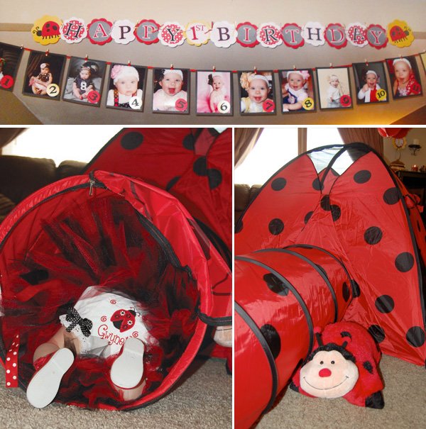 ladybug birthday party