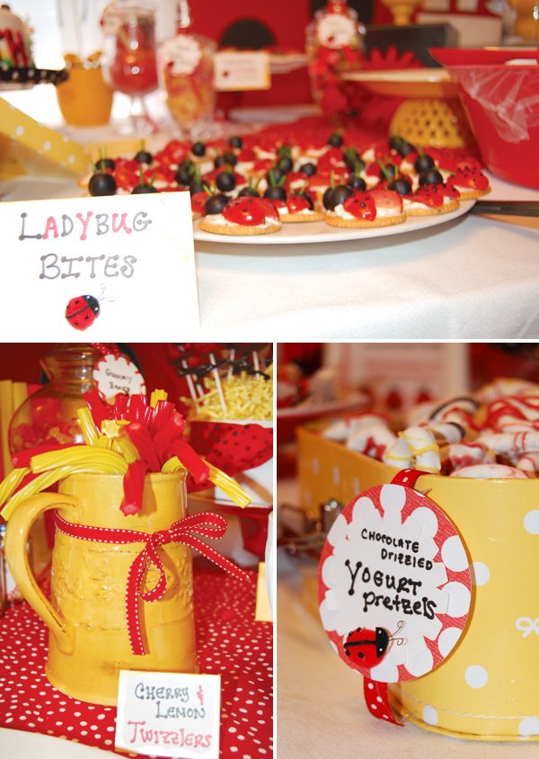 ladybug birthday party