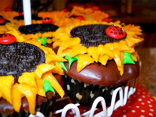 ladybug birthday party