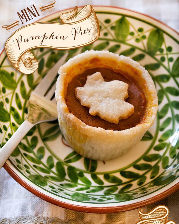 Mini Pumpkin Pies recipe