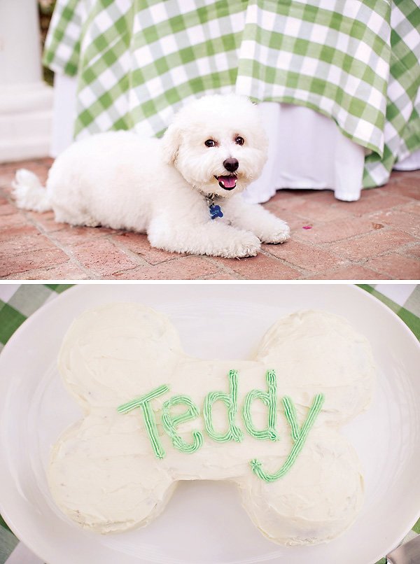 dog party bone shaped cake