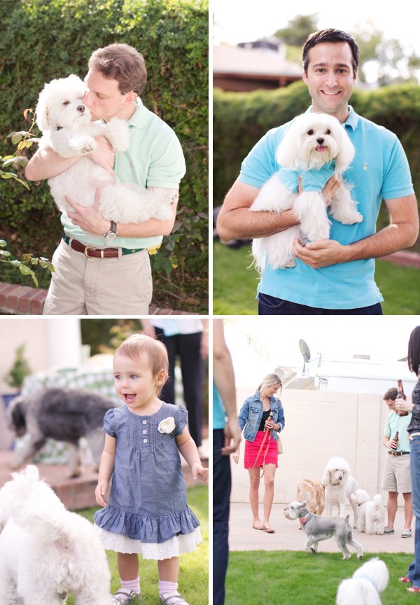 dog party guests and mini puppy polos