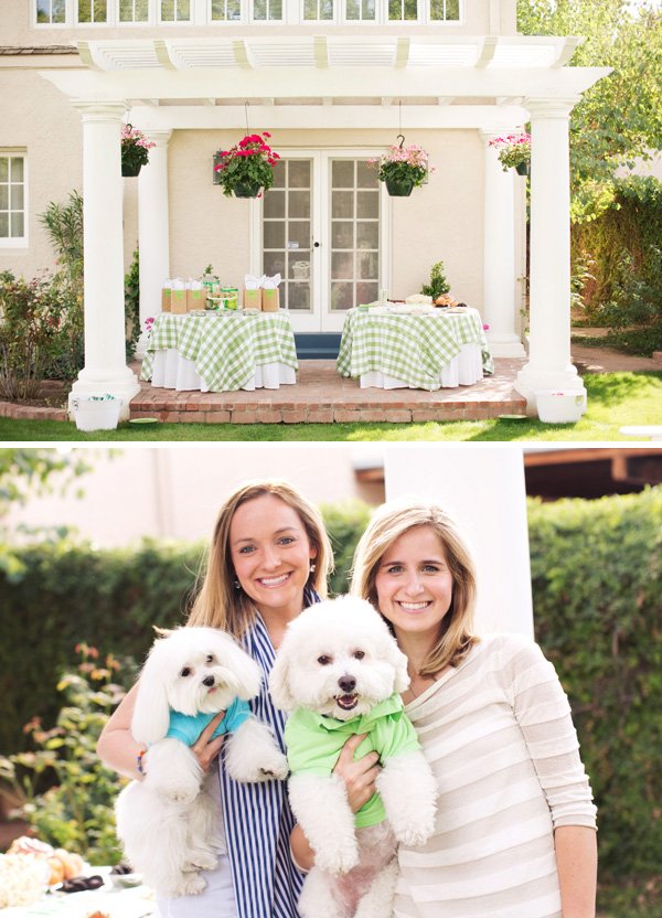 outdoor puppy and dog party ideas