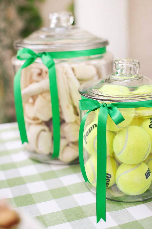 puppy party tennis ball and rawhide treats 