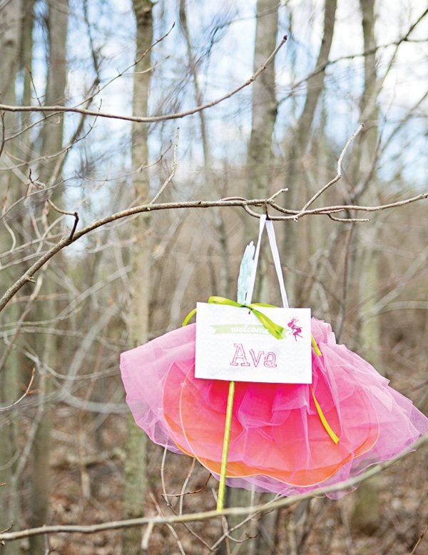 fairy's pink tutu and wings party favors