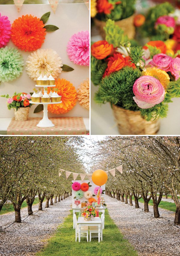 tree orchard birthday party venue