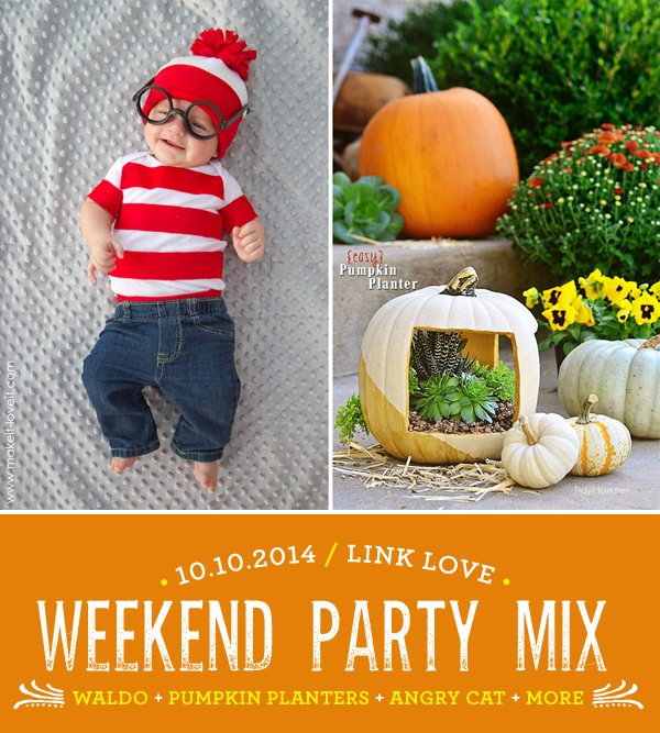 DIY halloween party costumes and pumpkin ideas