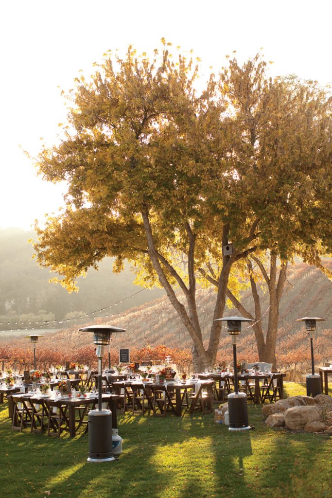 fall vineyard wedding tables