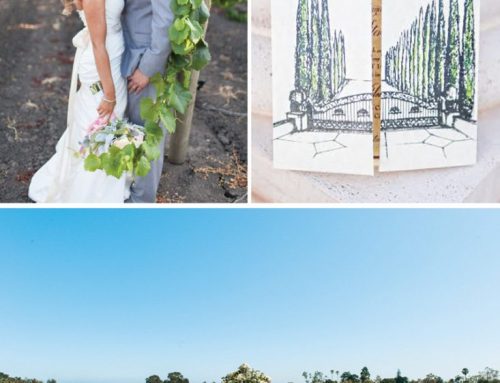 15 Pretty Vineyard Wedding Details {Inspiration Round-Up}