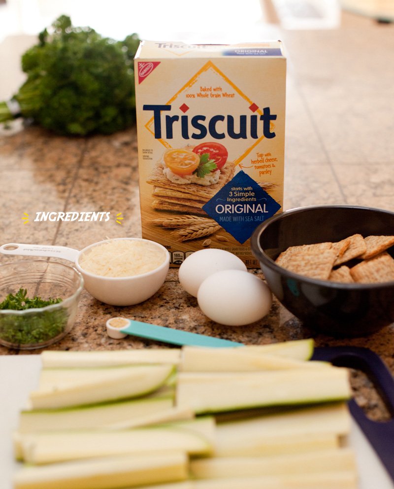 Parmesan Zucchini Sticks Recipe - Ingredients