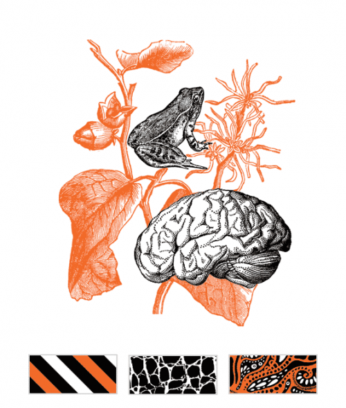 Spells & Potions (Orange)
