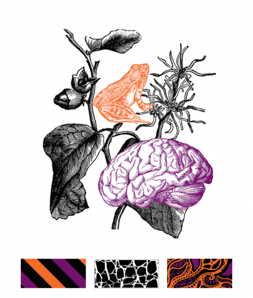 Spells & Potions (Purple)