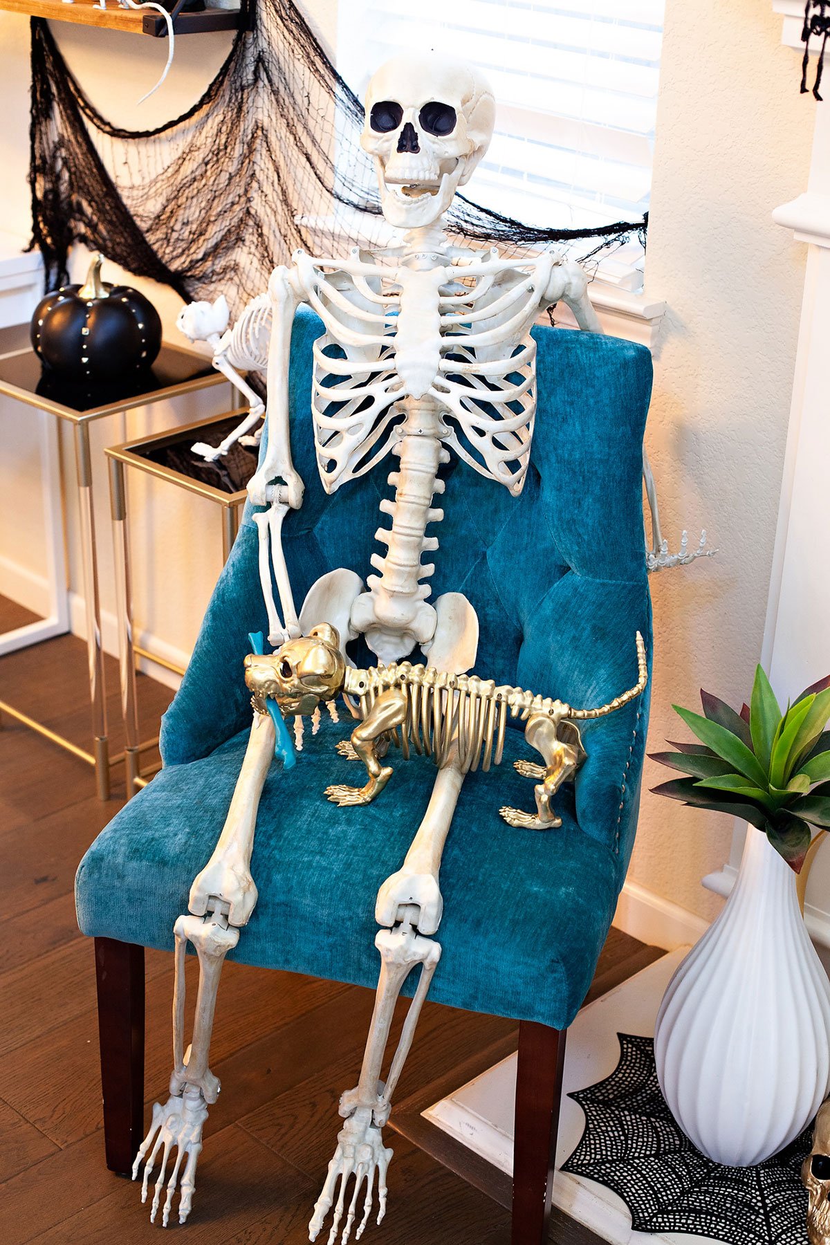 Halloween Skeleton with Skeleton Dog Pet