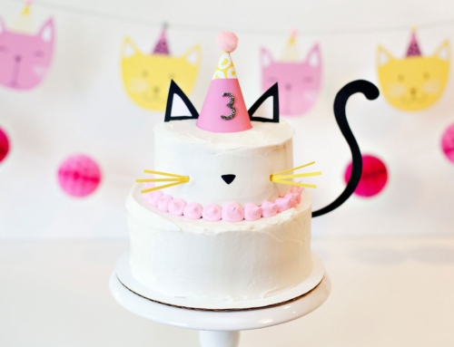 Modern Kitty Cat Birthday Cake Tutorial