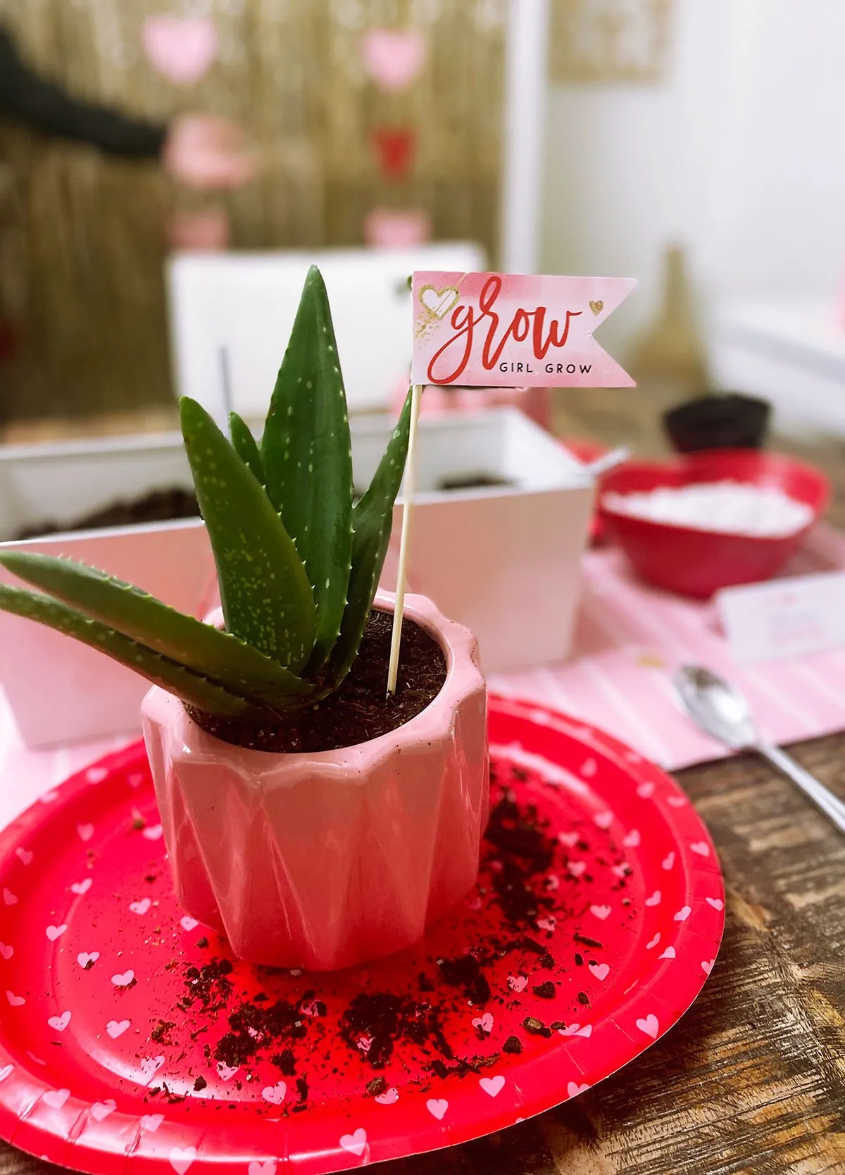 A Valentine's Day Succulent Bar // Hostess with the Mostess